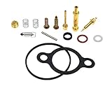 Karbay Rebuild Kit Carb Repair for Kawasaki Engine KD2153 r550 Carburetor Repair Kit