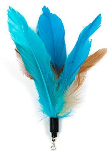 4 EcoCity+Cat+Toys+Feather+Include
