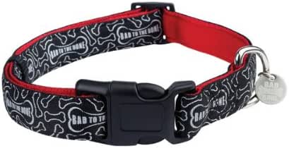 bad dog collars