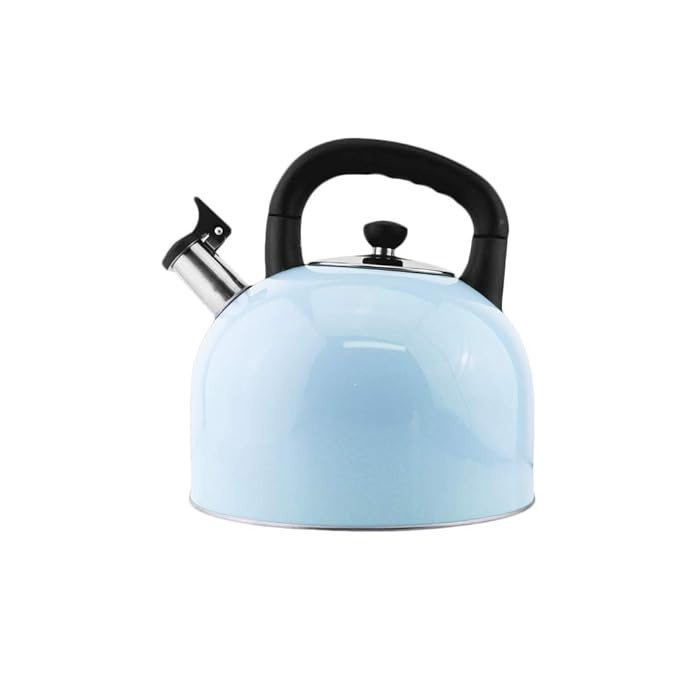 Gas kettle large capacity kettle 304 stainless steel kettle (Size 4L