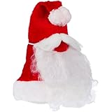 Santa Hat & Free Beard