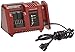 Alemite 343152 595 Lithium-Ion 18 Volt Battery Charger,