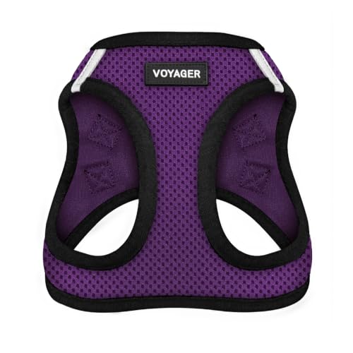Best Pet Supplies Voyager Step-In Air Dog Harness - All Weather Mesh for Small and Medium Dogs - Harness (Purple/Black Trim), Size XL