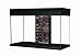 Fluval Accent Glass Aquarium, 25-Gallon