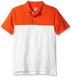 The Children's Place Boys' Little Colorblocked Polo Shirt, Flame, X-Small/4