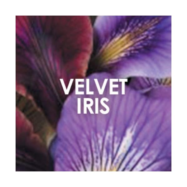 Britney-Spears-Midnight-Fantasy-Eau-de-Parfum-30-ml Britney Spears Midnight Fantasy Eau de Parfum