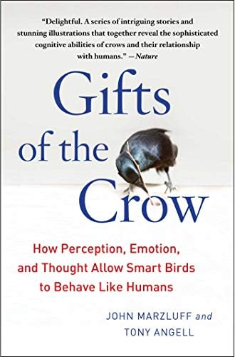 Interesting Facts about The Crow: Facts & Illustrations: Black
