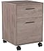 Bush Furniture Key West 2 Drawer Mobile File Cabinet, Rolling File Cabinet for Home Office