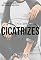 Livro Cicatrizes: Spin-Off