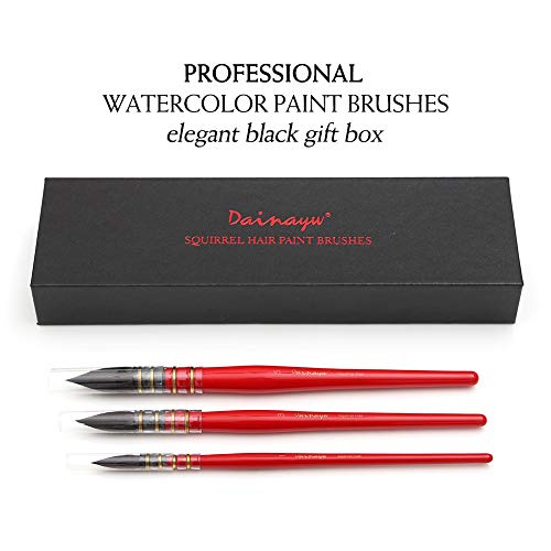 Dainayw Professional Watercolor Paint Brushes, Mop Round Squirrel Hair