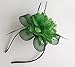 Coolr Fascinator Hair Clip Cocktail Headwear Flower Bridal Headpieces (Green)