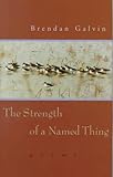 Strength of a Named Thing, Galvin, Brendan, 0807123986