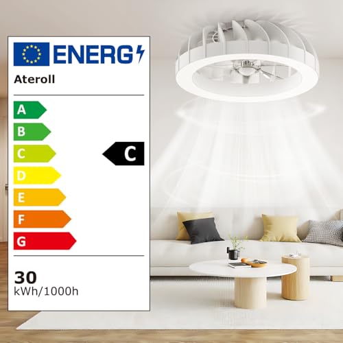 Ateroll Ceiling Fan with Lighting, Diameter 46 cm, RGB Ceiling Fan with Light and Remote Control, 6 Wind Levels, 3000 K - 6500 K, Dimmable LED, Quiet Timer, Ceiling Light with Fan for Bedroom, Living