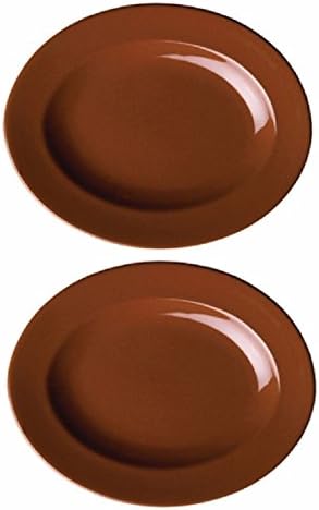 2 Syracuse China Terracotta 11" x 8.75" Oval Platters Wide Rim Entrée Plate 1533 Dinnerware Set