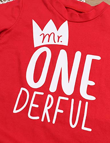 Toddler Baby Boy Clothes First Birthday Outfit Summer T-Shirt Denim Shorts Outfits Set Clothes (Red, 6-12 Months) - Thumbnail 4