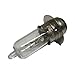Two 12V 35W HEAD LIGHT BULB FOR Baja Mini Bike MB165,MB200 (Baja Heat Mini Baja)