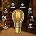 TP-Link Kasa Smart Wi-Fi LED Bulb, Filament E26 Smart Light Bulb, Warm Amber 2000K, Dimmable, No Hub Required, Compatible with Alexa & Google Assistant (KL60)