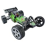 WLToys L959 WaveRunner Radio Controlled Car (off-road vehicle)