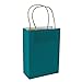 Fun Express Turquoise Medium Kraft Paper Bags (12 Pack) Craft