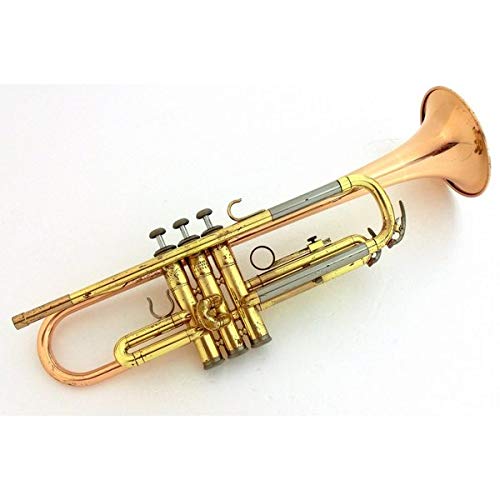 Nikkan ニッカン トランペット Ytr 333 B07qlq6ypq トランペット ディズニープリンセスのベビーグッズも大集合