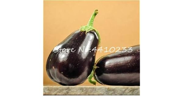 Kalash Nuevos 100pcs semillas de vegetales de la berenjena por un ...