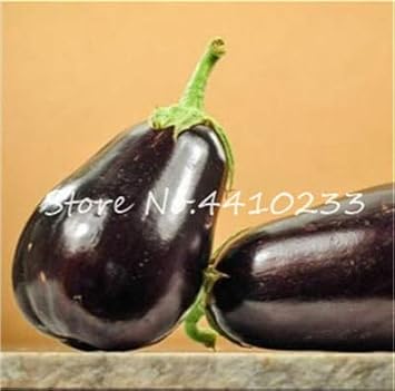 SVI Fresca 100pcs semillas de vegetales de la berenjena por un ...