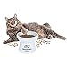Vencer Cat/Small Dogs Slow Feeding Bowls,Raised Cat Food/Water Bowl (High-Capacity) Elevated Cat Dog Dish,Pet Bowls for Cats or Small Dogs,VCB-002