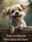 Livro Toto e a Busca Pelo Osso de Ouro