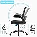 FDW Ergonomic Mesh Office Chair, Executive Rolling Swivel Chair, Computer Chair with Lumbar Support Desk Task Chair for Women, Men(Black)