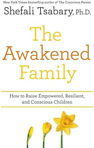 The Awakened Family Paperback