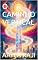Livro O CAMINHO VERTICAL