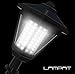 Solar Lights 2 Pack