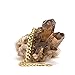 Lifetime Jewelry Cuban Link Bracelet for Men [ 9mm Miami Curb Chain ] with up 20X More 24k Real Gold Plating Than Other Wrist Charms - Free Lifetime Replacement Guarantee 8 9 and 10 inches