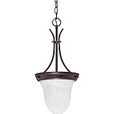 Nuvo Lighting 60/395 One Light Pendant