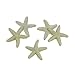 LJY 40 Pieces 1.2 Inches Beige Resin Pencil Finger Starfish for Wedding Home Decor and Craft Project