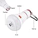 Yaping Outdoor and Indoor Portable LED Tent Light Lamp Lantern for Hiking,Camping,Emergencies,Home (White Pack of 2)