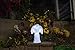 Solar Lighted Angel by Eternal Light | Solar Grave Decoration Heartfelt Cemetery Memorial 14