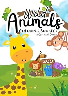 Livro Livro de colorir
