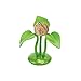 Insect Lore Live Praying Mantis Gift Set