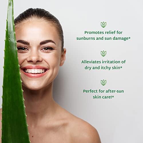 Aloe Infusion Organic Aloe Vera Gel Deeply Hydrating, Skin Nourishing