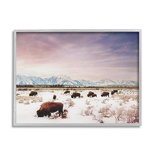 Stupell Industries Bison Desert Mountains Scene Gray Framed Giclee Art Design b…