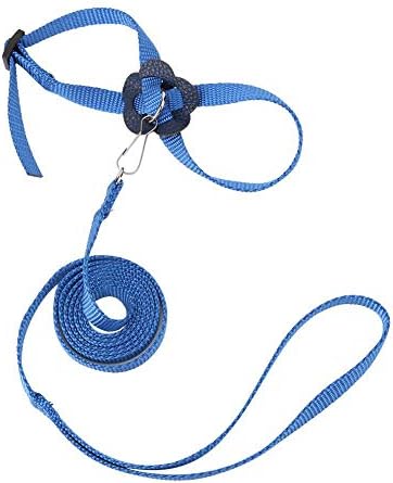 Questionno Parrot Bird Leash Adjustable Harness Pets Anti Flying Outdoor Training Rope