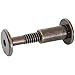 Statuary Bronze Connector Bolts - 3-1/2