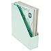 mDesign Plastic Slim Vertical File Folder Storage Organizer Bin with Handle - Hold Notebooks, Binders, Envelopes, Magazines for Home Office, Work Desktops, Ligne Collection, 2 Pack, Mint Green
