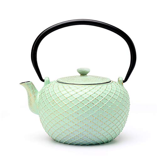 Tea Kettle, Toptier Japanese Tetsubin Cast Iron Teapot with Infuser for