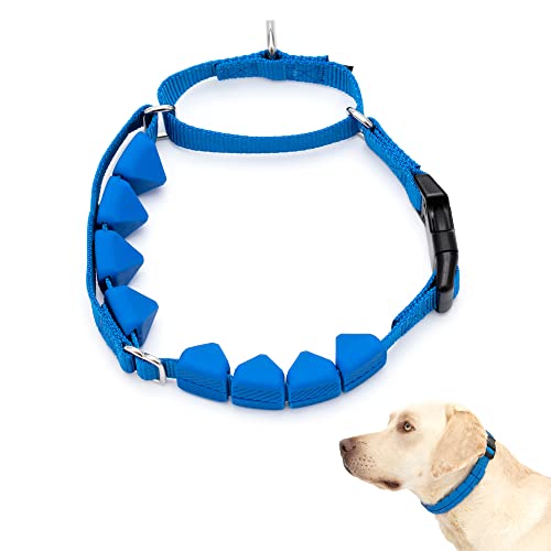PetSafe Soft Point Training Collar - Helps Stop Pulling - Safer Than Prong or Choke Collars - Teaches Better Leash Manners - No Pull Training Collar with Rubber Points for Dogs - Large, Blue
