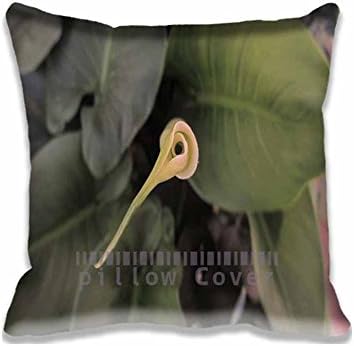 16x24 Inch Retangle 16"x24" Cushion Cover Oblong Pillow Case 16"X24"Throw Pillow Cover Calla Lily Plant