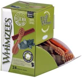 second generation cavoodle