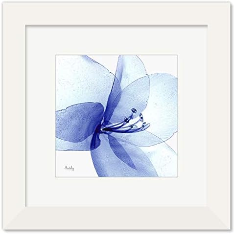 絵画 光るアマリリス インテリア 絵 花 アートパネル 縦36cm 横36cm 額入り 海外限定 X ホワイト