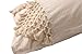 Flber Tufted Tassel Sham Set Lattice Cotton Pillow Covers,18.9in x29.1in,Set of 2